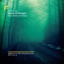 Presence feat. Shara Nelson - Sense Of Danger (Rob Mello Dub)