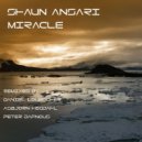 Shaun Ansari - Miracle (Asbjorn Hegdahl Remix)