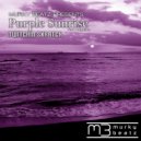 Twitchin Skratch feat. Angelee - Purple Sunrise (Breakdown B Mix)