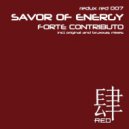 Savor Of Energy - Forte Contributo (Bruxxas Remix)