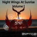 Thomas DeColita feat Suzy Solar - The Unsaid
