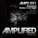 Psytrotune - Station 12 At Night