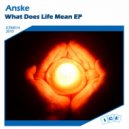 Anske - What Does Life Mean (Bacila DnB Remix)