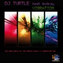 Dj Turtle featuring Audrey - Vibration (The French Family Remix)