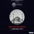 Shaun Mauren - Men from Mars