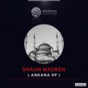 Shaun Mauren - Never Give Up (Original Mix)