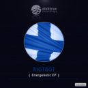 Riotbot - Distorted World