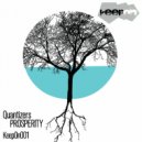 Quantizers - Prosperity (Dush Remix)