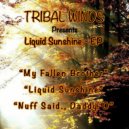 Antonio Ocasio - Liquid Sunshine (Original Mix)