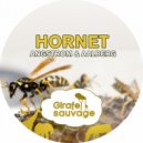 Angstrom & Aalberg - Hornet (Igor Krsmanovic Remix)