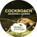Angstrom & Aalberg - Cockroach (Pfirter Remix)