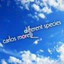 Carlos Morelli - Humanity