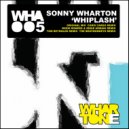 Sonny Wharton - Whiplash (The Beatmonkeys Remix)