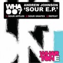 Andrew Johnson - Sour Grapes (Original Mix)