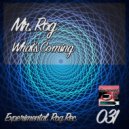 Mr. Rog - Junction