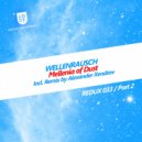 Wellenrausch - Millenia Of Dust