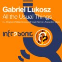 Gabriel Lukosz - All The Usual Things (Niklas Grosswald Remix)