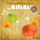 Ayce DJ & Karlito ft. Paul Lee - Havana (Richard Earnshaw Dub)