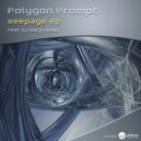 Polygon Prompt - Seepage
