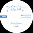 Mihai Popoviciu & Jay Bliss & Pagal - Melange (Original Mix)