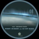 E383 - Northern Lights