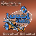 The Gulf Gate Project - Breakin' Arizona