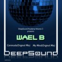 Wael B - My Mind (Original Mix)