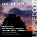 State of Matter & Luke Terry present Surrogate Saviour - Radiance (Chris Turner Remix)