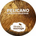 Angstrom & Aalberg - Pelicano