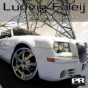 Ludvig Faleij - I Got Everything You Want (Alaa Remix)
