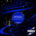 Project Synthetic - Crystal Garden