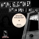 Bitch Bros & Millau - Shake Something