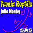 Julio Montes - Fucsia Reptile (Carlos Montes Mix)