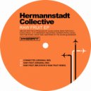 Hermannstadt Collective - Raw Fruit (Mr. Statik\'s Raw Fruit Remix)