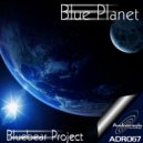 Bluebear Project - Summer Calling