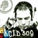 FJ Project - Acid 309