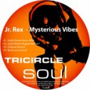 Jr.Rex - Mysterious Vibes (Joyful Noise Reggae Version)
