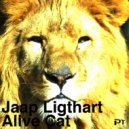 Jaap Ligthart - Alive Cat (Humkey Remix)
