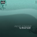 Ahmet Sendil - Ring Cadet