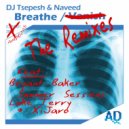 DJ Tsepesh & Naveed - Breathe (Luke Terry\'s Torn Apart Remix)