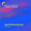 Keytronics Ensemble - Calypso Of House (Greenfingers In The Tub Remix)