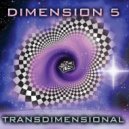 Dimension 5 - Flow