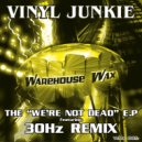 Vinyl Junkie - Turntabe