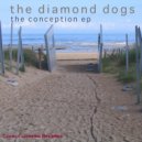 The Diamond Dogs - Velvet Driveshaft (Original Mix)