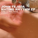 John Tejada - Mental Jukebox