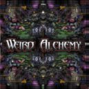 WEIRD ALCHEMY - Mother Funker (Original Mix)