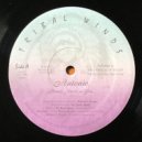Antonio Ocasio feat. Boyd Jarvis - Happy Joyous & Free (Calor Mix)