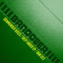 Downunder Disco - No Strutting (Original Mix)