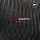 Sinisa Tamamovic - Rhymes