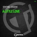 Sentinel Groove - A Little Love